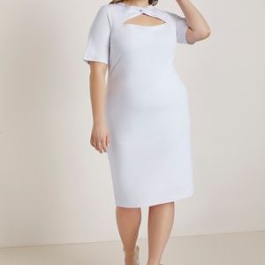 Eloquii Peekaboo short sleeved sheath